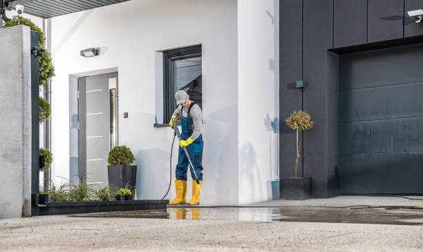 Best House Exterior Washing  in Ocoee, FL