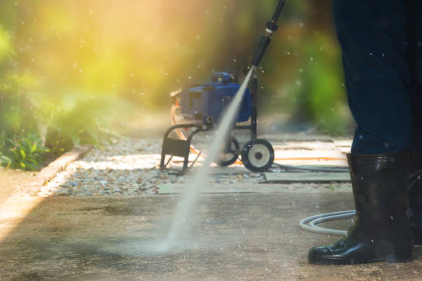 Boat and Dock Cleaning in Ocoee, FL